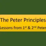 The Peter Principles