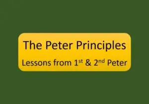 The Peter Principles